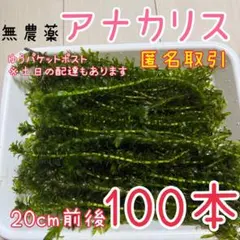 マルキング様 リクエスト 3点 まとめ商品