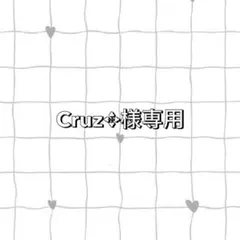 Cruz✥様専用ページのサムネイル