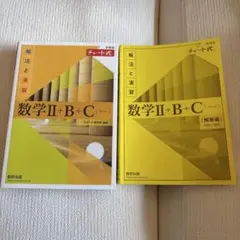 数学Ⅱ+B+C (解答編・演習編) セット