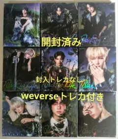 &TEAM Back to life ROAR BtL 9形態セット　開封済み