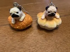 いぬぱん　ガチャ　パグ