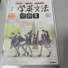 MANABU KAWAMITSU様 リクエスト 2点 まとめ商品