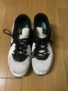 Item thumbnail for item d1b1e3b1-6267-484e-b225-79fa6e12e339