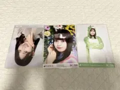 乃木坂46 生写真　阪口珠美　まとめ売り