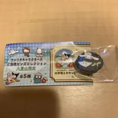 サンリオキャラクターズ ご当地ピンズ 八重山限定　シナモロール