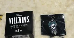 ディズニーストア トレメイン夫人 ヴィランズ シークレットチャーム