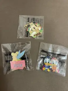 ジャングルカーニバル　ピンバッチ　チャームセット　ティンカーベル　雨の日限定