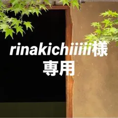 rinakichiiiii様 リクエスト 2点 まとめ商品