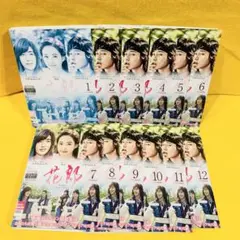 花郎 ファラン DVD 全12巻 全巻セット 韓国ドラマ 日本語吹き替え 字幕有