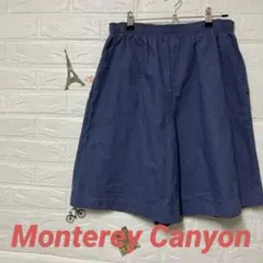 Monterey Canyon ブルー ショートパンツ