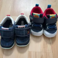 Item thumbnail for item 4c54a261-5a73-4771-a72a-df5d0637c079