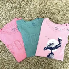 POLO RALPF LAUREN Tシャツ　３枚セット　Mサイズ