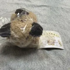 てのひらわんこのぬいぐるみ　ブラウンmix キーホルダー 犬 わんこ