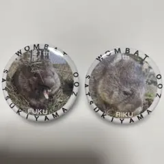 dipa44様　五月山動物園 ウォンバット 缶バッジ フク