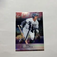 Item thumbnail for item c324ea45-992e-4144-9fbb-19308c47bd9b