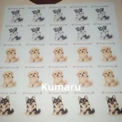 サンキューシール　犬　シュナウザー　２０枚