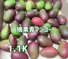 マンゴー+摘果/1.2 kg including box/コンビニ/ATM ❌️ - メルカリ