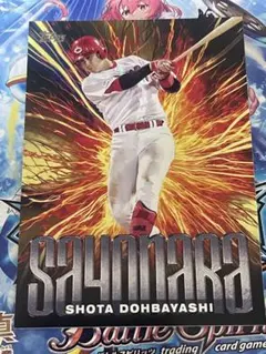 haruco様 リクエスト 2点 まとめ商品