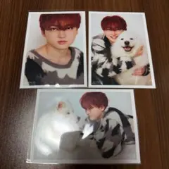 超特急 生写真 生誕 31th 2026 ユーキ 村田祐基 サモエド