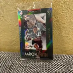 アーロン・スミス ボブルヘッド、キラカードサイン入り アーロン・スミス ボブルヘッド、キラカードサイン入り アーロン