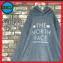 THENORTHFCE ノースフェイス ビッグロゴ フーディーパーカー雰囲気古着