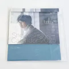 Item thumbnail for item 3664cd97-0171-42b4-9683-52a4199ee011