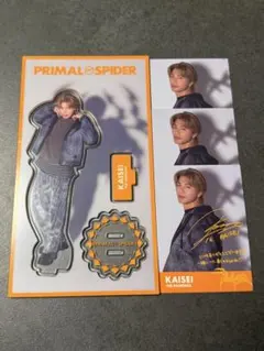 PRIMAL SPIDER 武知海青 アクスタ フォトカ セット シークレット