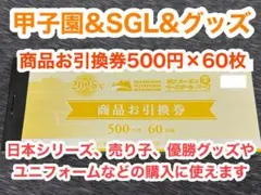 阪神甲子園球場　商品お引換券 500円券60枚セット 阪神甲子園球場 商品お引換券 500円券60枚綴 30,000円分