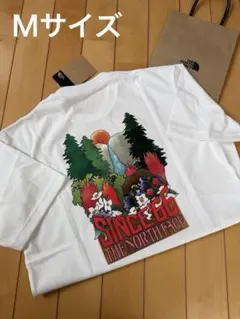 Item thumbnail for item c2a4dc20-b51f-4c60-875f-ae445891d727