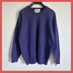 Alberto Perini カシミヤ100 ニット パープル 長袖 無地