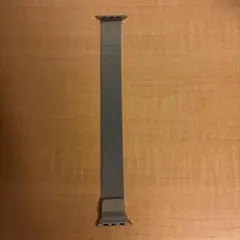 ミラネーゼループ42
