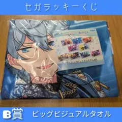 ★セガラッキーくじ　B賞ビッグビジュアルタオル★