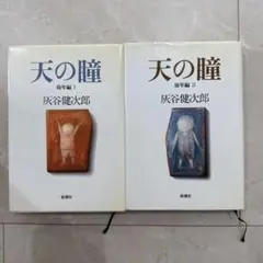 天の瞳 幼年編 I & II セット