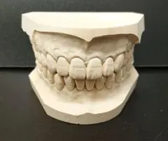 Item thumbnail for item 5b5619cb-d7fc-43c9-8a90-f90e94c382cc