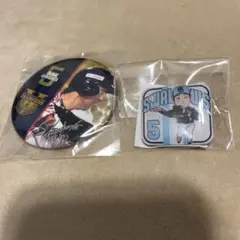 川端慎吾 ヤクルト crew ピンバッジ　優勝記念　缶バッジ