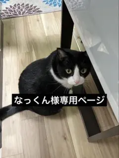なっくん様専用ページ