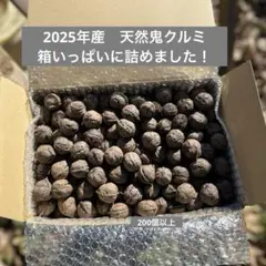 鬼クルミ20キロ 鬼クルミ20キロ