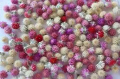 ぶいもん様 リクエスト 3点 まとめ商品