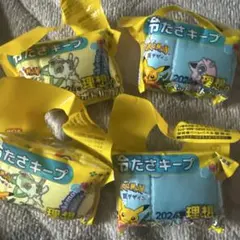 【非売品】 ポケモン ペットボトルカバー 4個セット　2024年