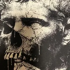 ENDエンド ハードコア メタルコア バンド Tシャツ NJHCニュージャージー