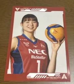 山田二千華 選手フォト NECレッドロケッツ川崎 バレー SVリーグ