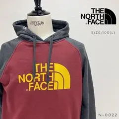 THE NORTH FACE ノースフェイス ビッグロゴパーカー