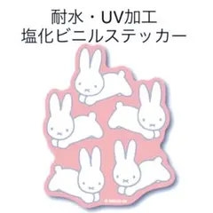 Item thumbnail for item 4d5116ff-f038-43f1-8806-081326181025