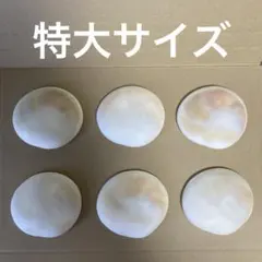 2025年最新】沖縄産夜光貝￼の人気アイテム - メルカリ