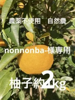 nonnonba-様専用ページです