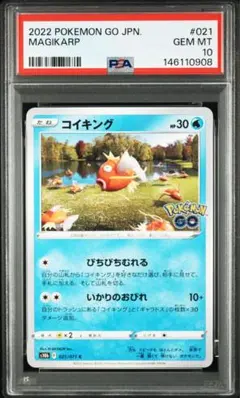 2026年最新】psa10 コイキングの人気アイテム - メルカリ