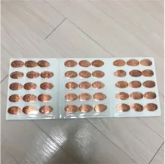 ディズニー スーベニアメダル