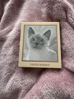 VENUS MARBLE アイシャドウパレット シャム猫