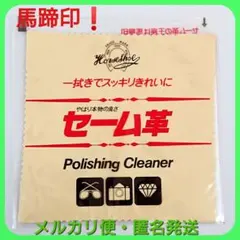 Item thumbnail for item 8ca3a1f5-65f3-4f9d-865a-2eb844dde4ef