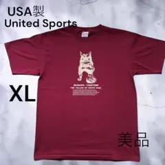 【90s USA製】シングルステッチ 沖縄 竹富島 シーサー Tシャツ XL
